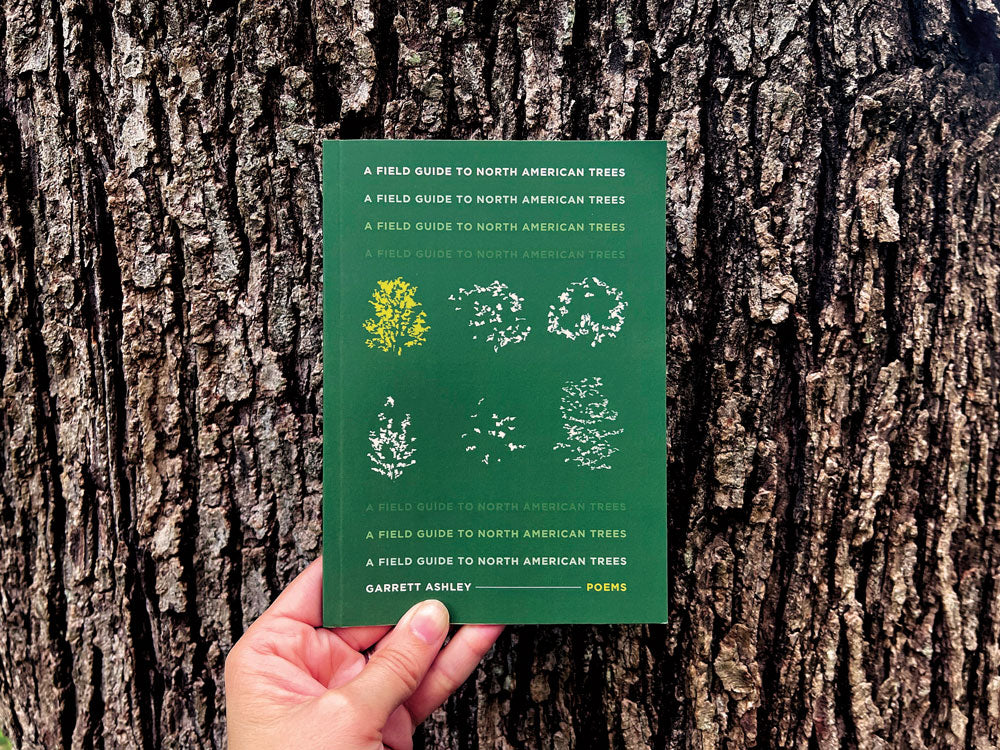 A Field Guide to North American Trees