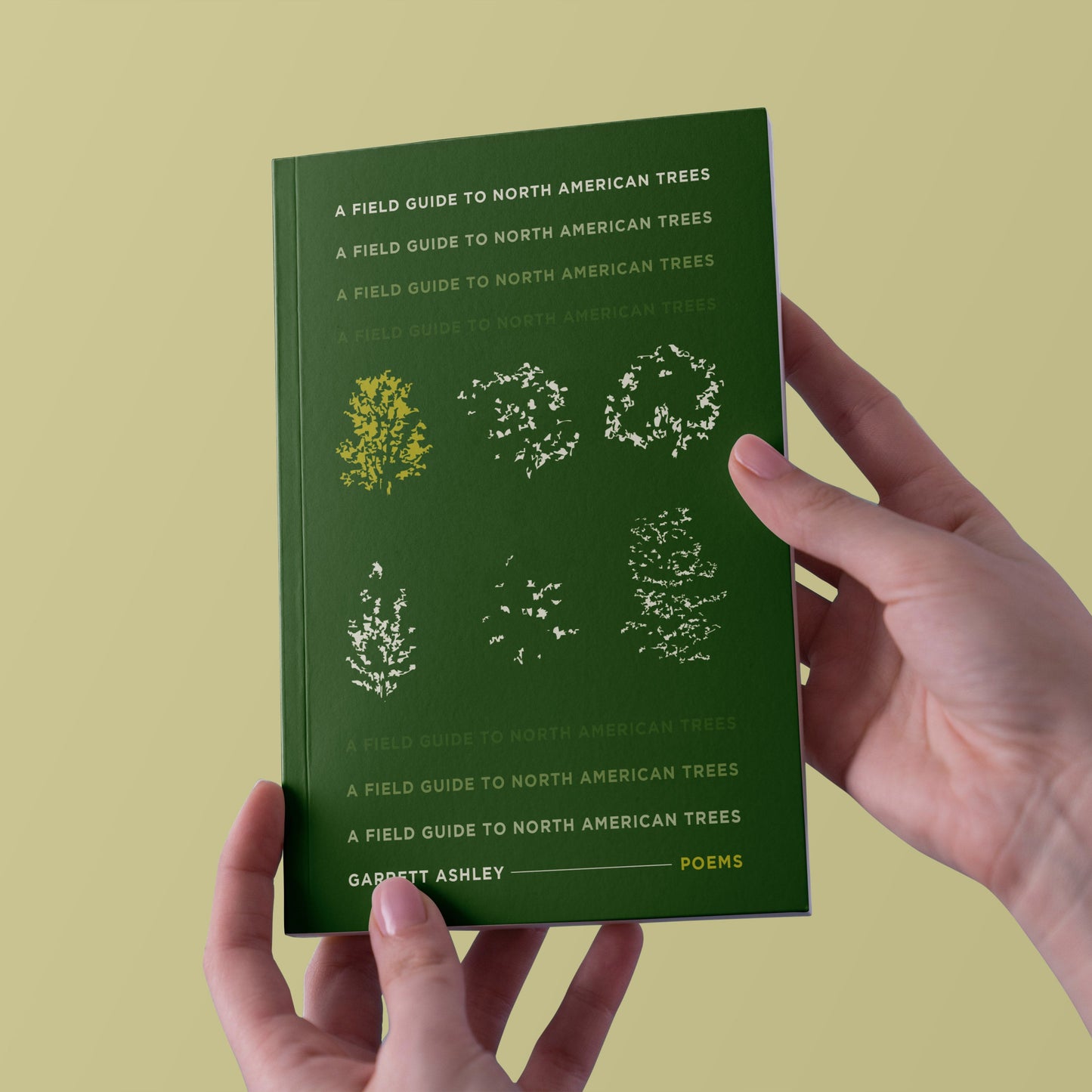 A Field Guide to North American Trees
