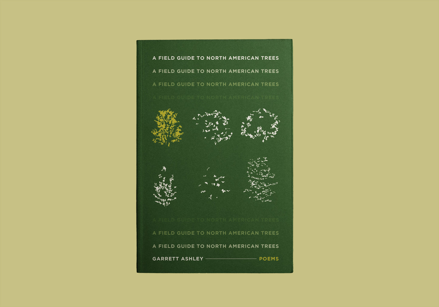 A Field Guide to North American Trees