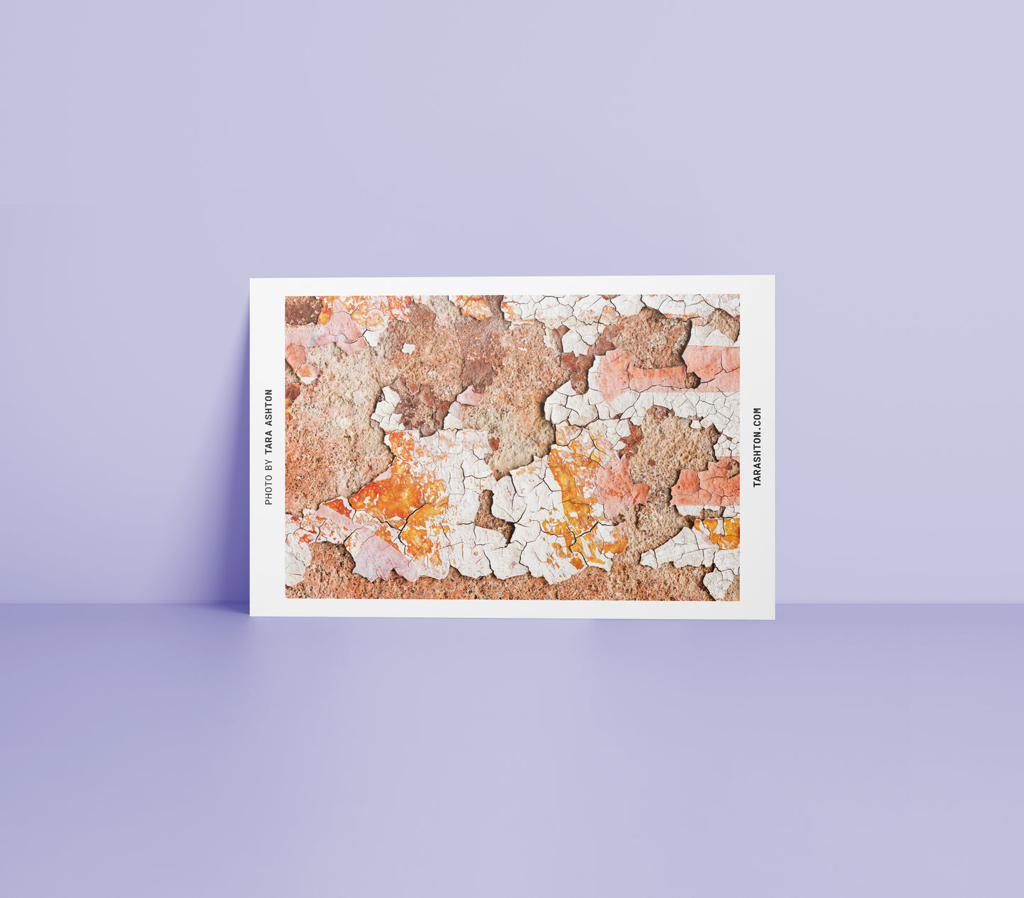 2023 Photography Postcard Set