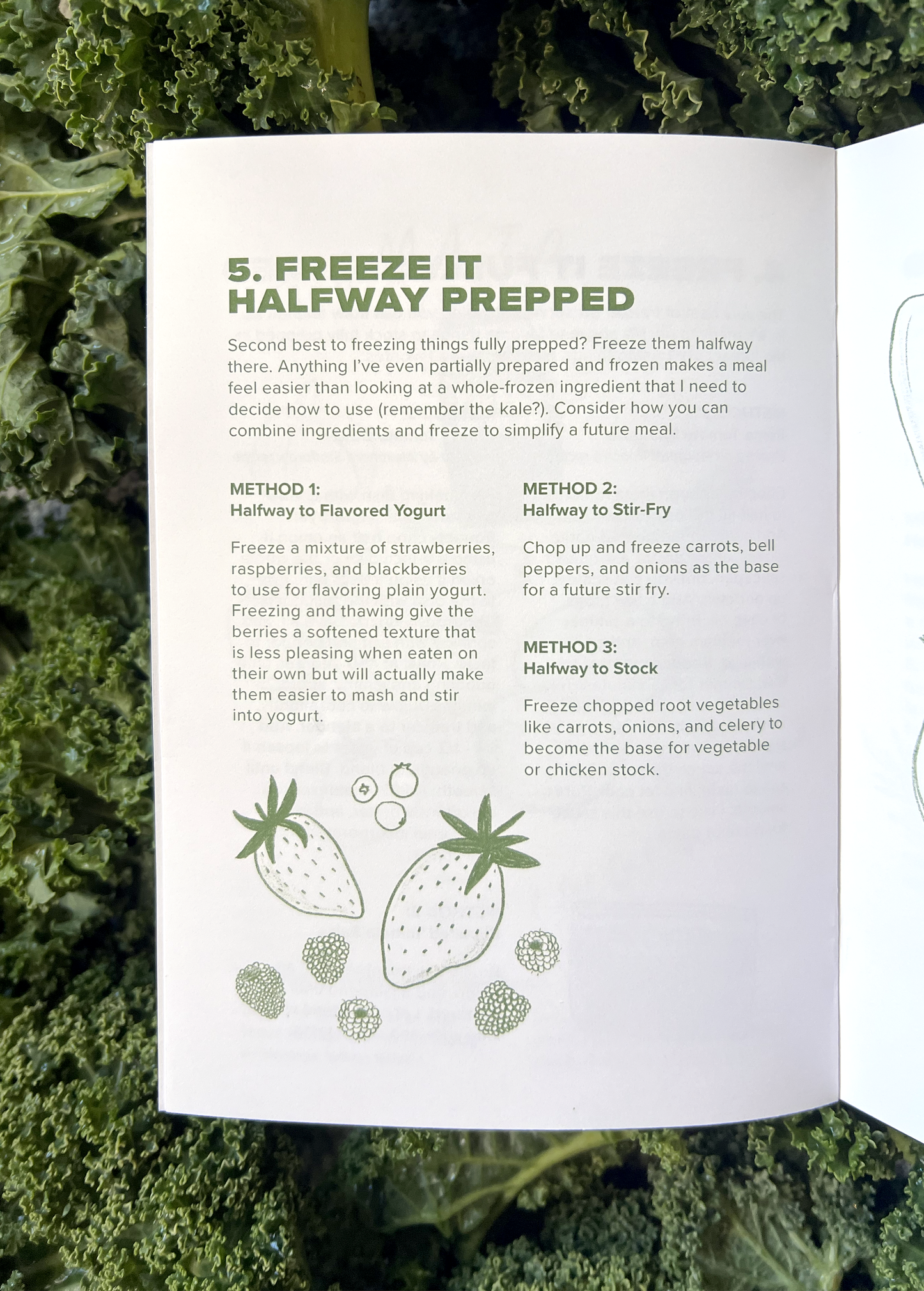 Garden to Table All Year: A Minimalist's Guide to Preserving