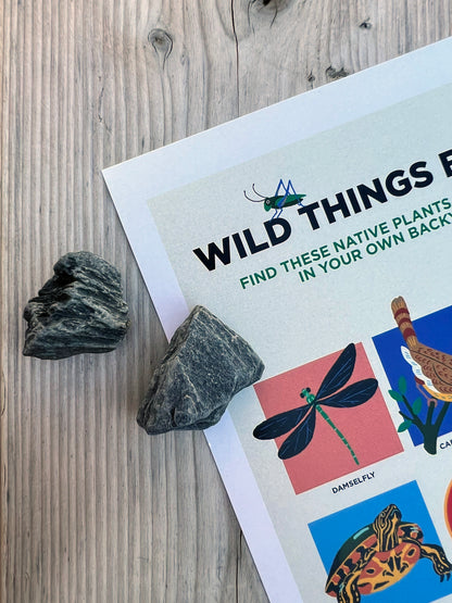 Wild Things Bingo Cards